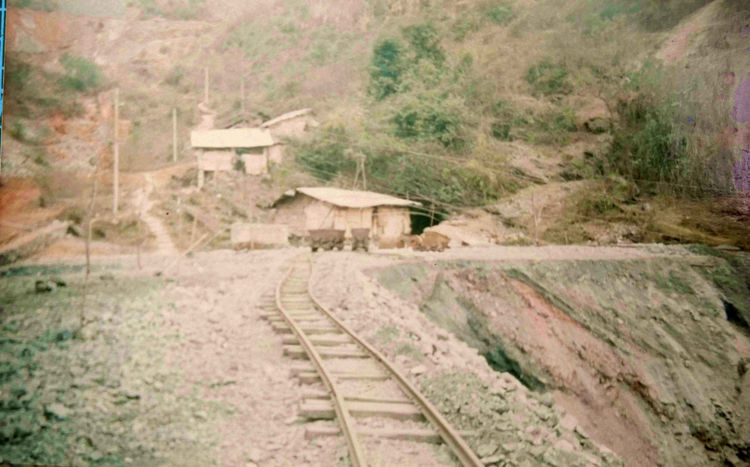 我家里真的有矿免费完结小说,我家里真的有矿