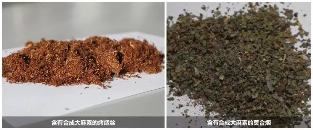 禁毒知识毒品的危害答案,禁毒科普要小心这些套路都有毒