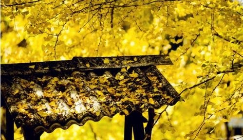 中国古代有没有关于梦的神仙,中国古代几个著名的梦