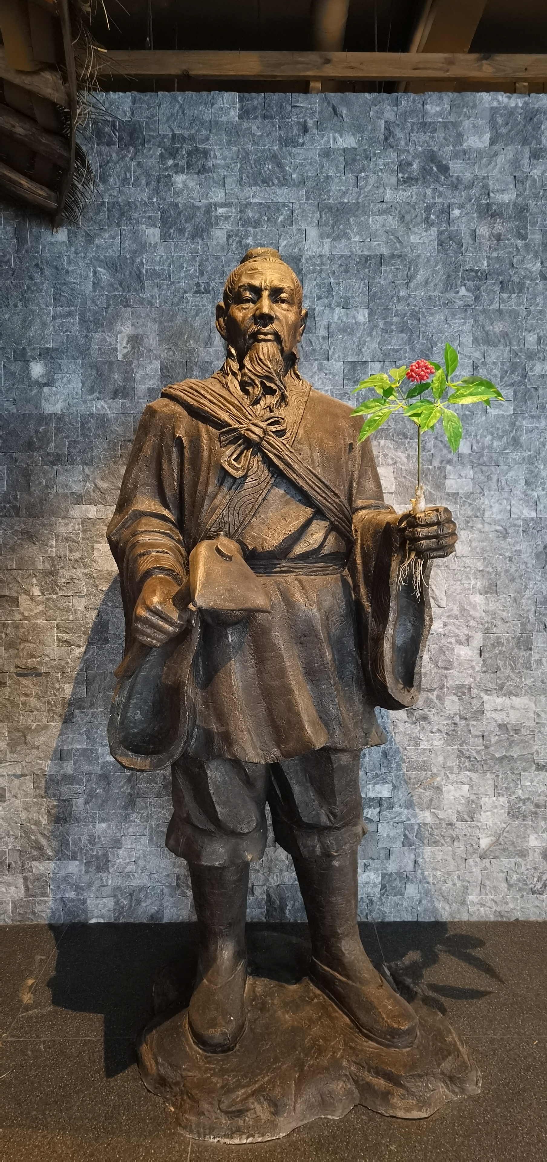 野山参文化传承,野山参历史文化