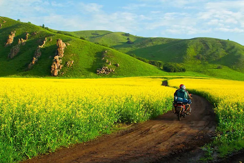 全国油菜花时间表,3月份哪里的油菜花最美