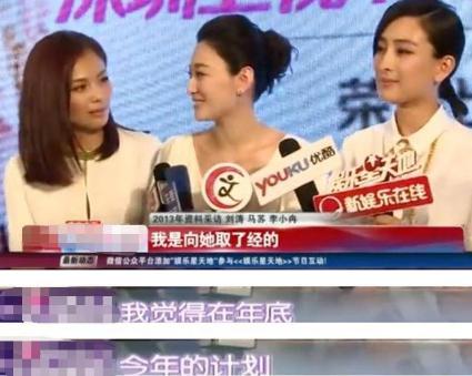 梅婷和李小冉近况,李小冉插足梅婷婚姻