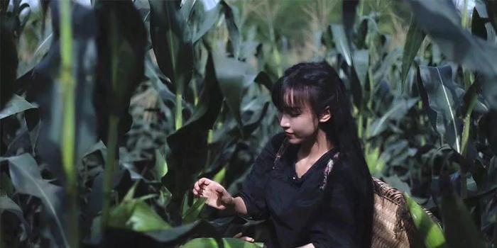 李佳琦带货的背后，是无数大学生贱卖自己的映射