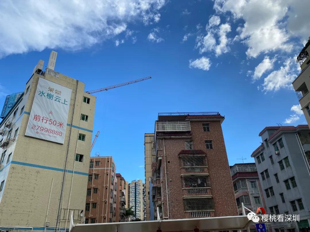 深圳沙井新开盘房,龙华新盘