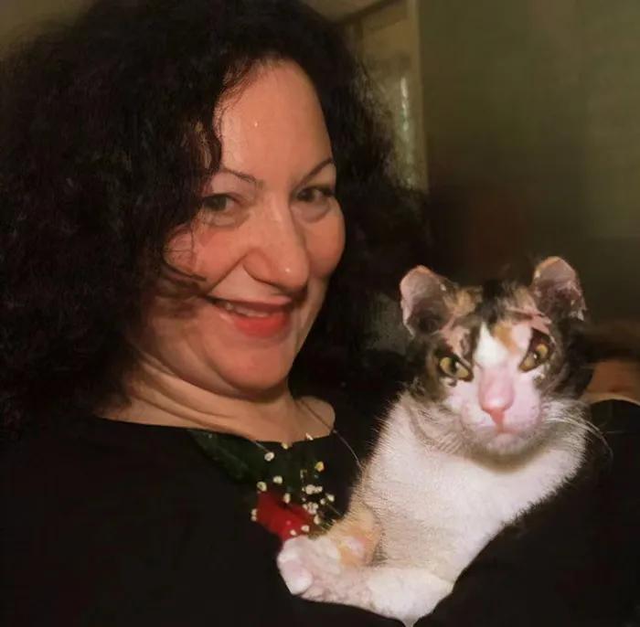 猫咪被救助的感人故事,猫咪救主人的真实故事