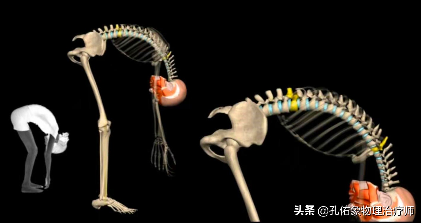 为什么弯腰之后就起不来,为什么弯腰起来特别不舒服