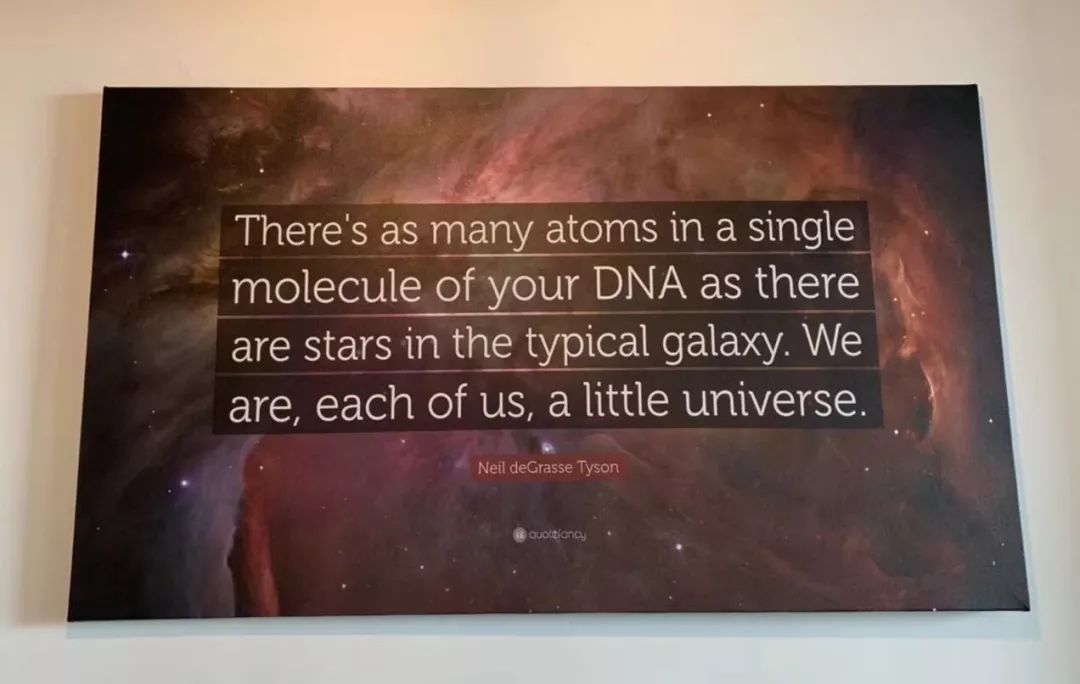 寻找自己存在的意义,寻找人生的意义