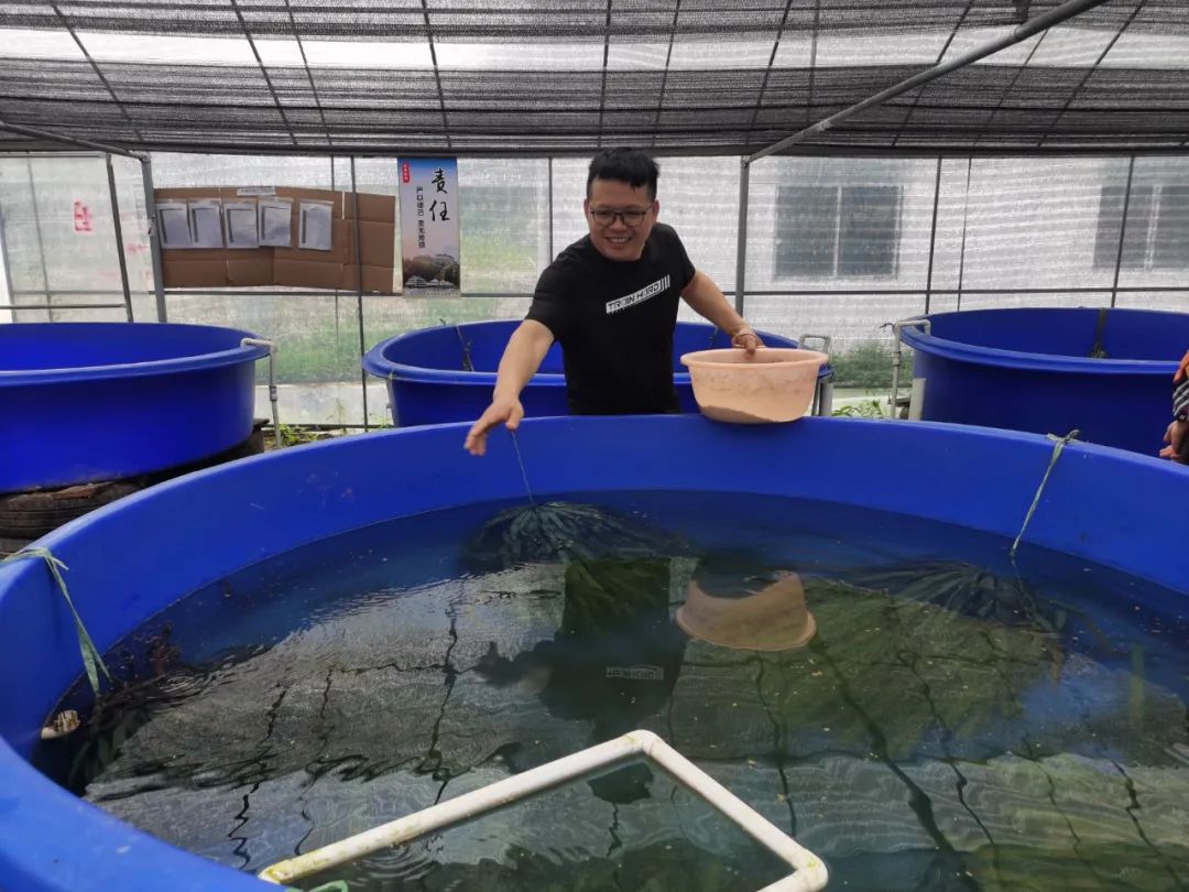 生态渔业创新新模式,广西水产养殖技术推广资讯平台