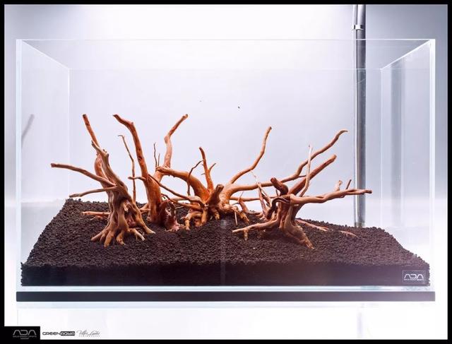 ada风格造景用什么底砂,鱼缸造景ada风格