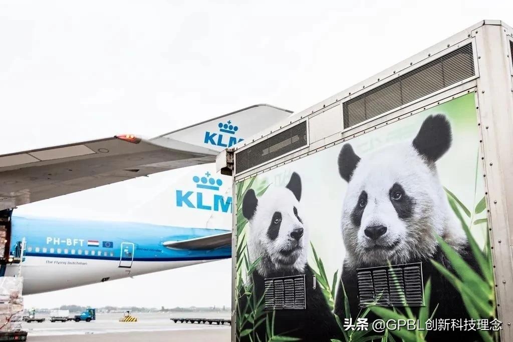 空姐月入3万,空姐月入一万左右