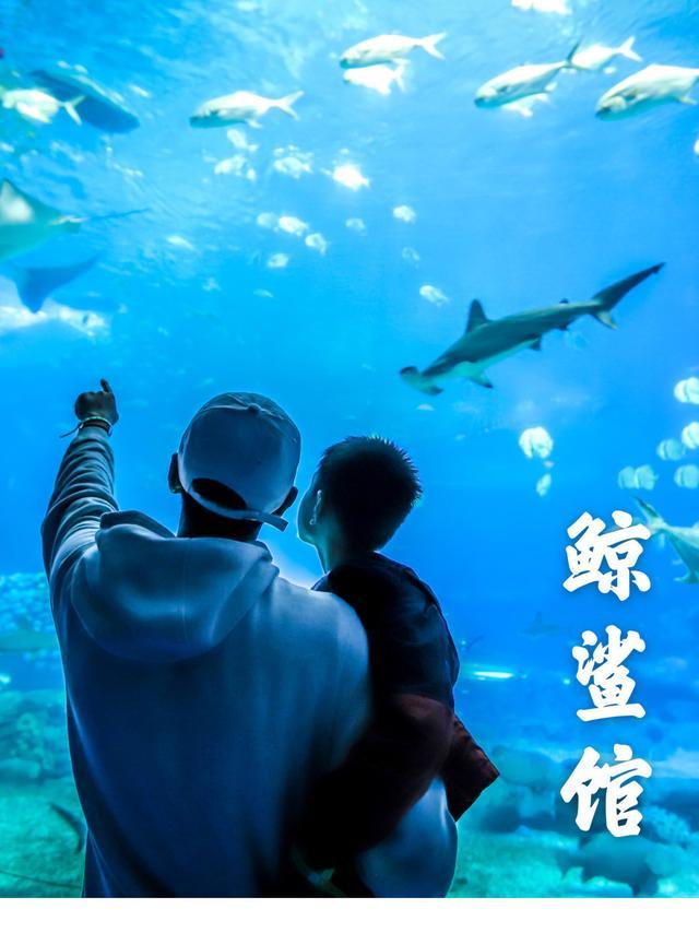 来珠海旅游必打卡的景点,春节珠海亲子游玩地方推荐