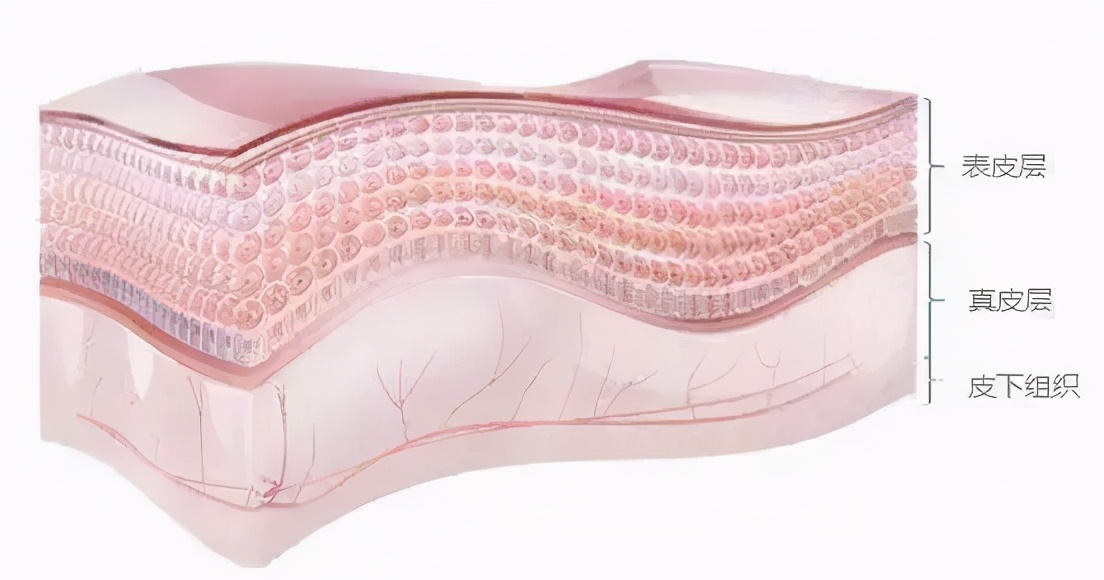 玻尿酸补水安瓶精华液怎么使用,玻尿酸安瓶精华水大瓶有什么功效