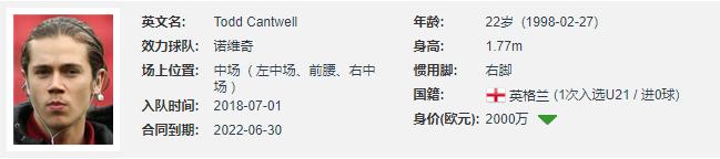 坎特维尔|英格兰“新贝克汉姆”,潇洒飘逸的诺维奇中场新星