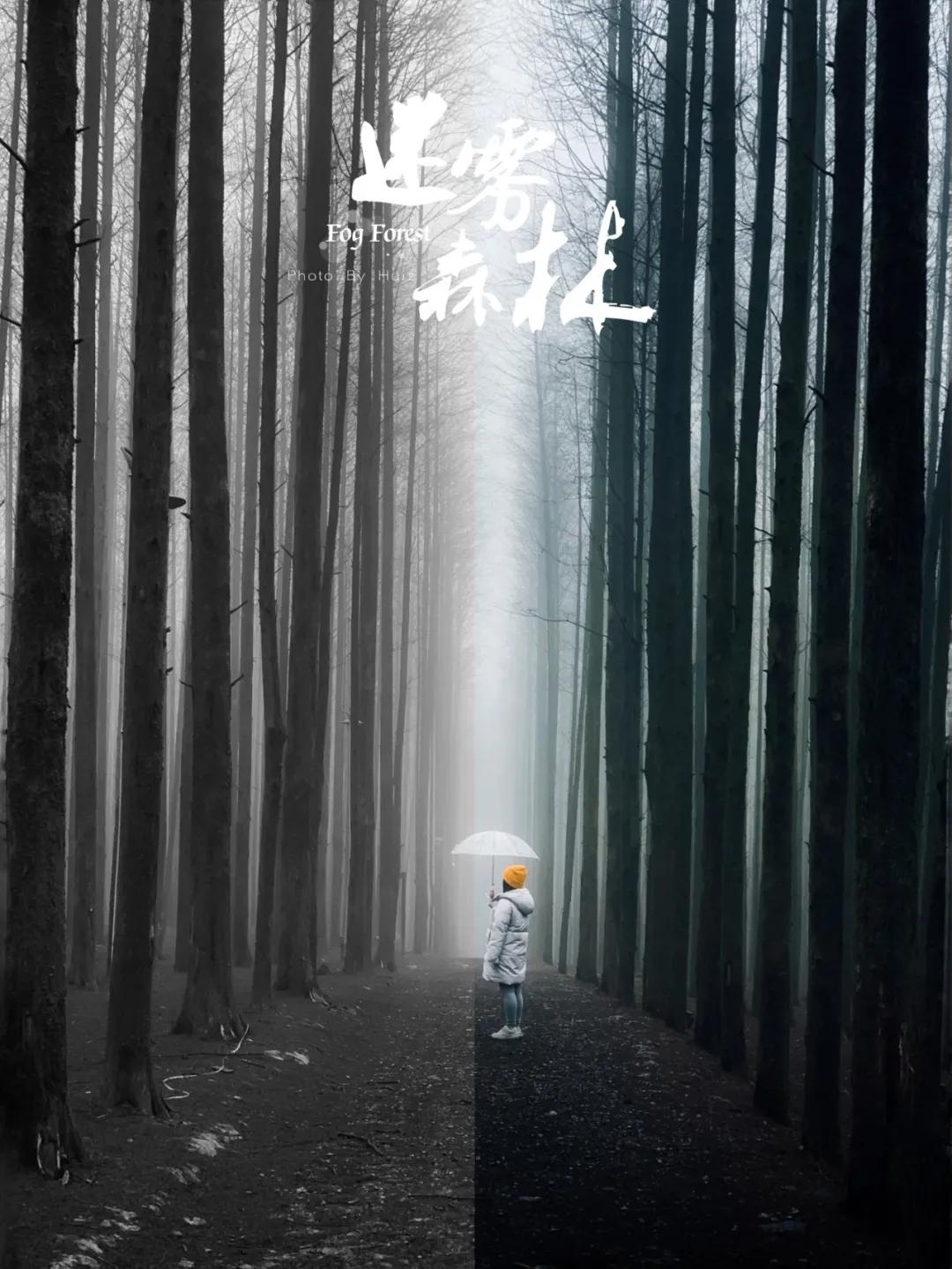 用滤镜怎样让图片变得清晰,黑白照片后期教程