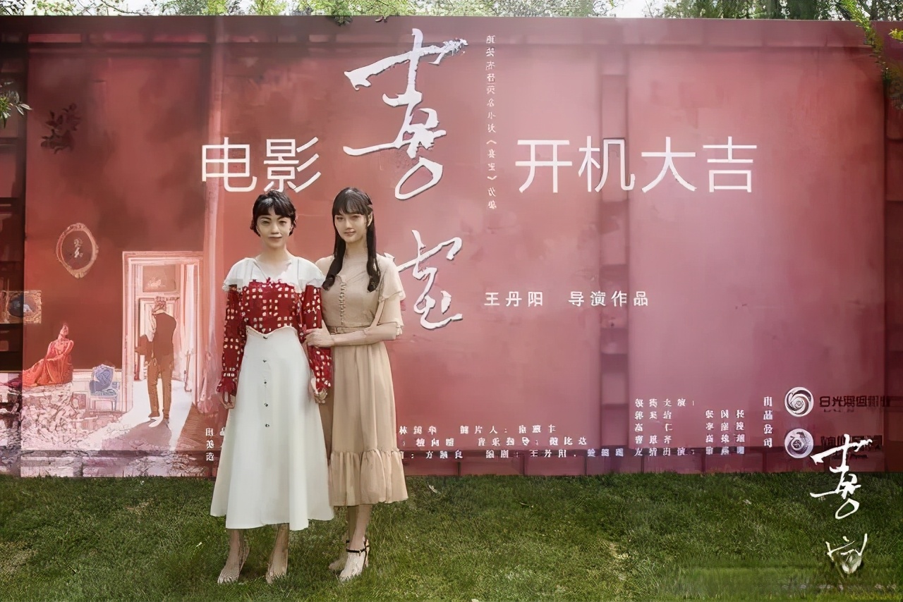 喜宝的剧情解析,喜宝剧情详细解析