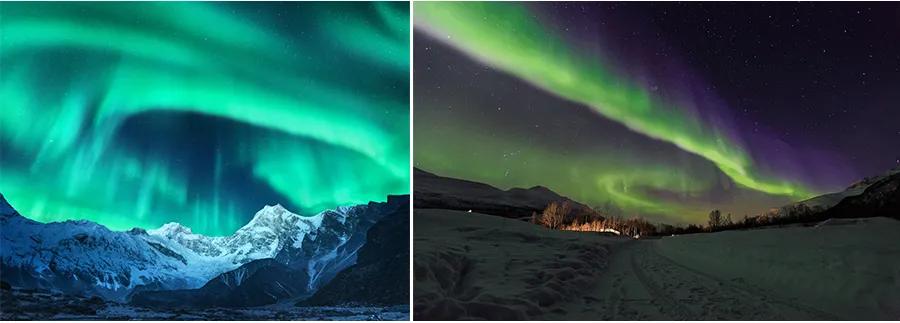 儿童画教程|综合创意技法学习《绚丽极光下的麋鹿》