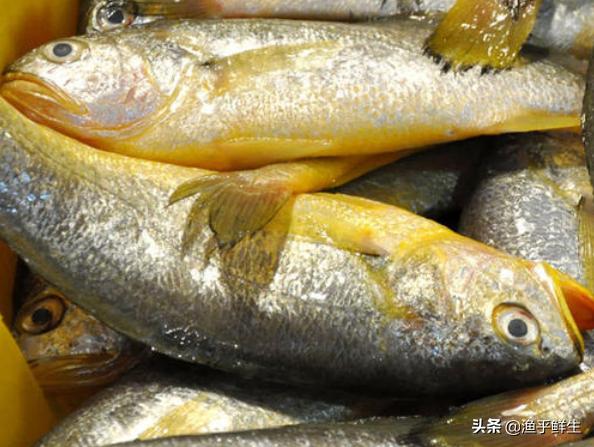 全国十大海鲜排名,中国海鲜十大产地排名最新