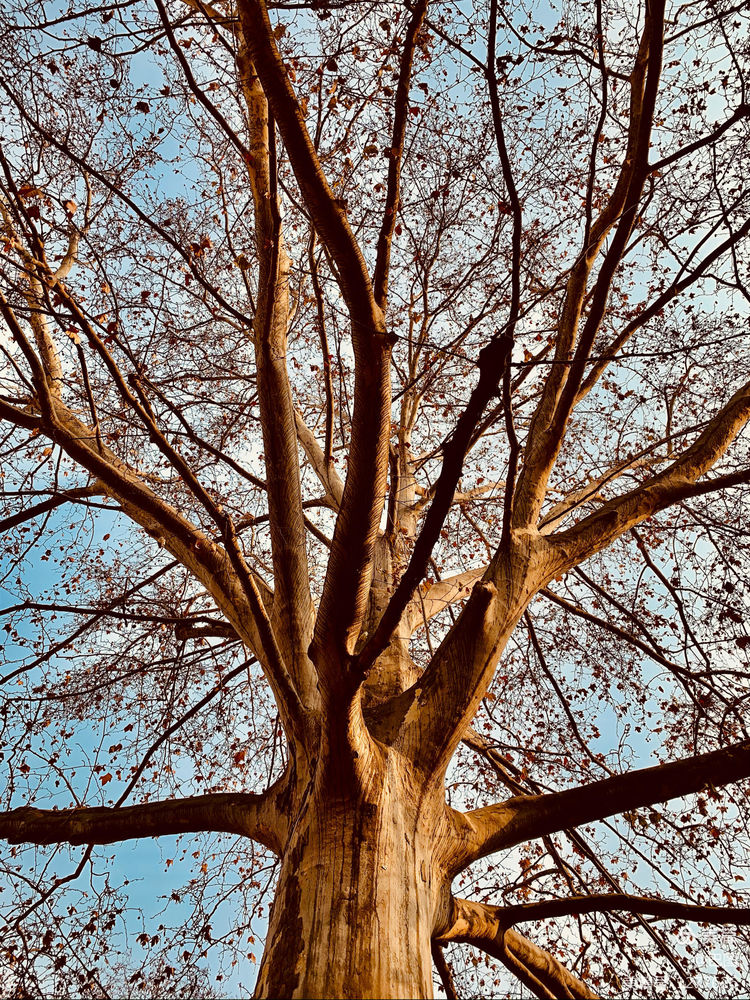 新安老家怀旧行，洛玻砂岩矿成为历史，洛阳水泥厂辉煌不再
