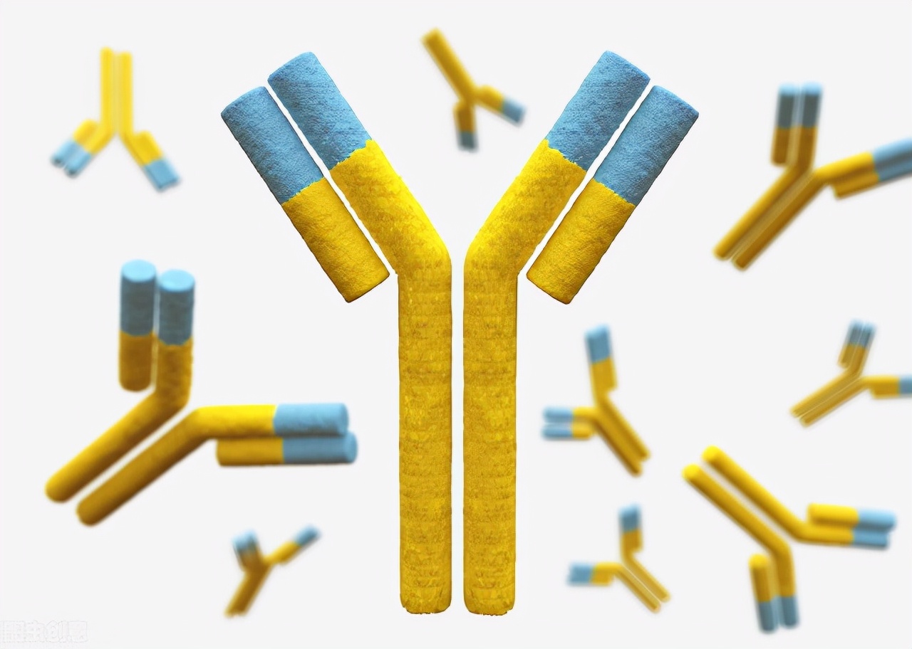 被狗咬伤后打狂犬疫苗就没事了吗,被狗咬伤打狂犬病疫苗后还有事吗