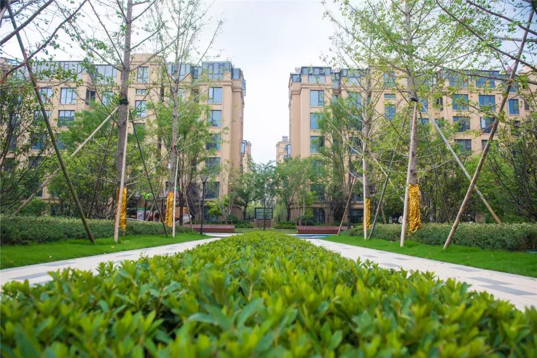 从普罗旺斯看紫色花海,从普罗旺斯到柳沙公园怎么走