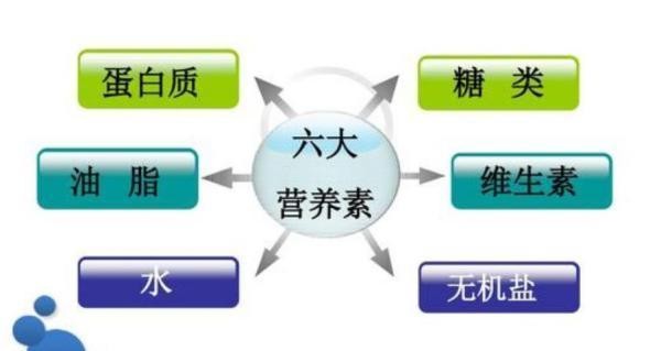 美国BayDo拜尔登宠物粮生物提纯工艺配方打造宠物粮中的茅台