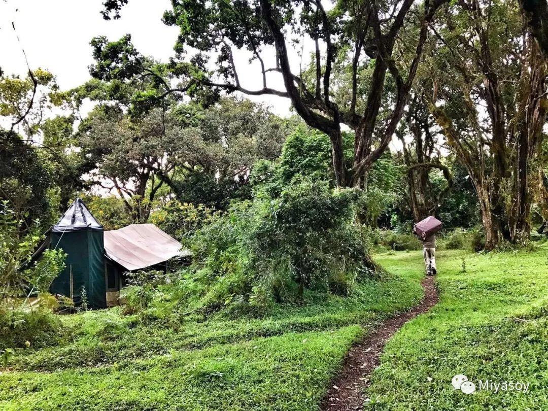 乞力马扎罗雪山冰川,住在珠穆朗玛峰山脚是什么感觉