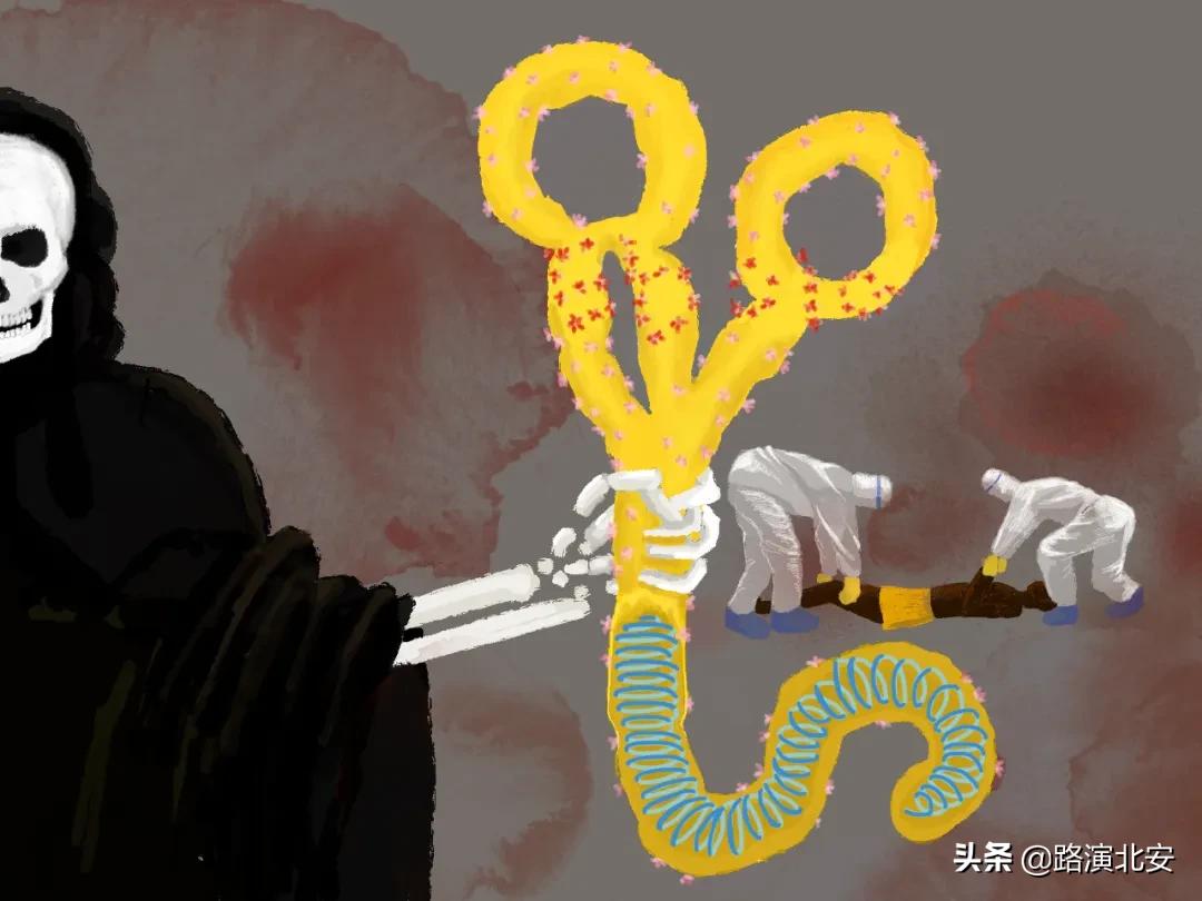 生命的故事绘本视频,生命的故事绘本绘画