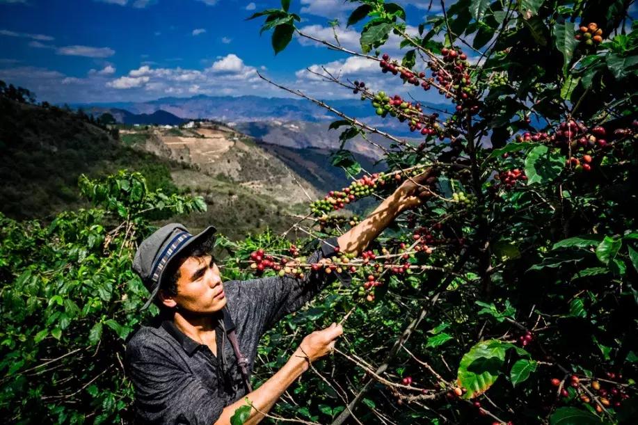 格兰仕干衣机,格兰仕厂好干不好干
