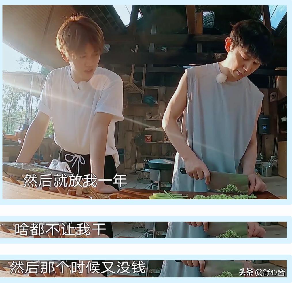 向往的生活任嘉伦谭松韵许魏洲,向往的生活任嘉伦掉河里了