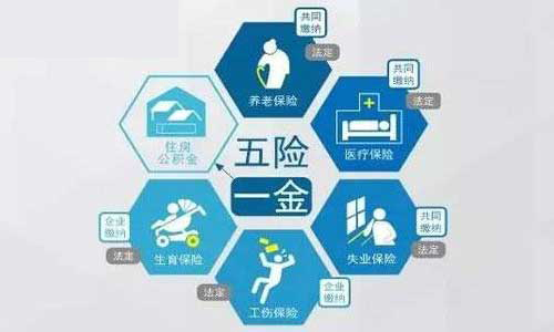 企业交五险三金指的是哪三金,五险三金是哪五险三金一般有多少