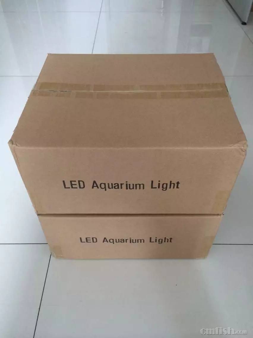 KELO钜彩照明LED水族灯试用活动鱼友评测详情(二)