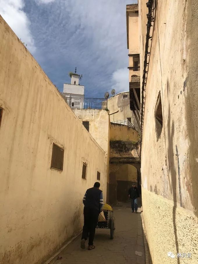 15天快速减肥10斤懒人,摩洛哥12天瘦5斤减肥成功案例