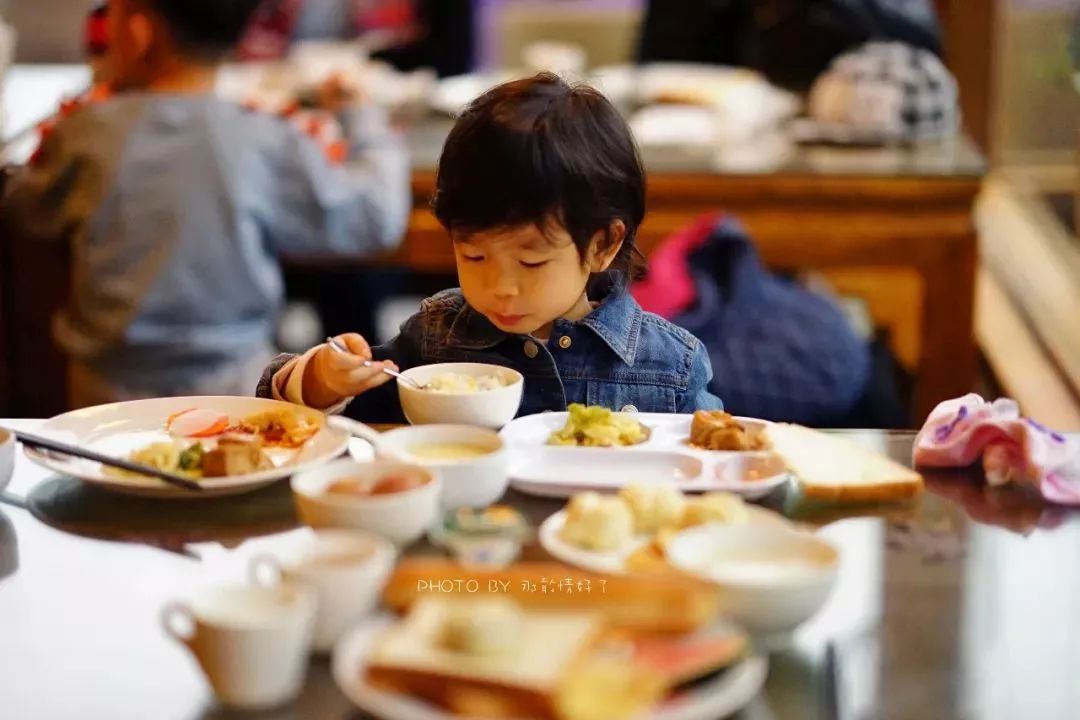 京郊童话树屋,京郊最美童话树屋