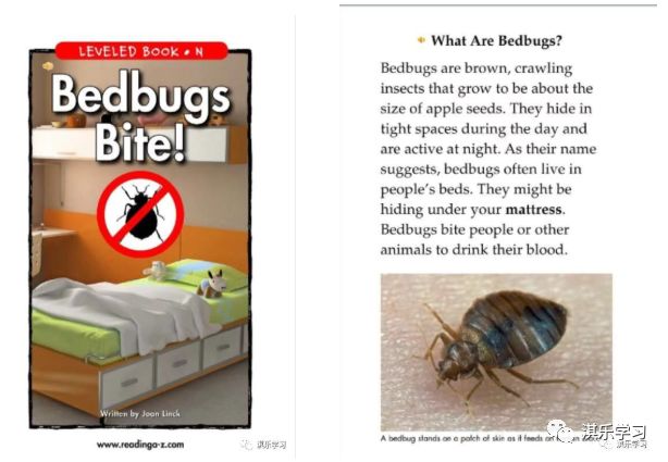 英语raz分级阅读解析,英语raz分级阅读绘本含多少词汇量