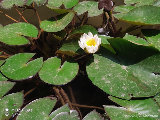 魅族16xs深度评测,魅族16x和16xs评测对比