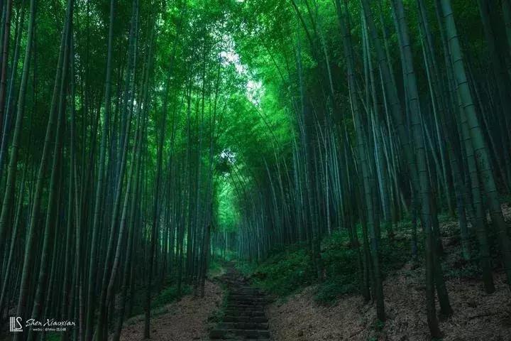 莫干山这8家民宿真想挨个住个遍,莫干山十大民宿推荐