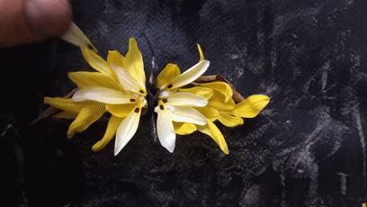 10种纸鹤折法,一天折50个千纸鹤