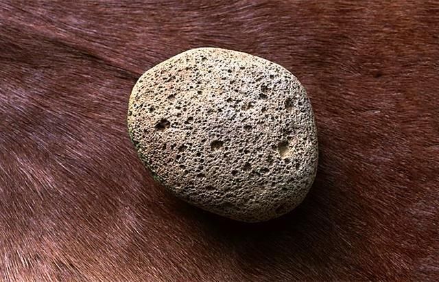 猪皮上有猪毛怎么办别用刀刮了，教你2个小技巧，彻底清理干净