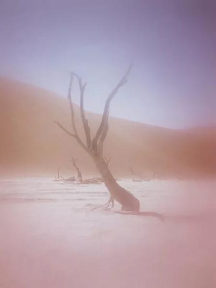 女生为什么这么穷呢,女生为什么这么穷的视频