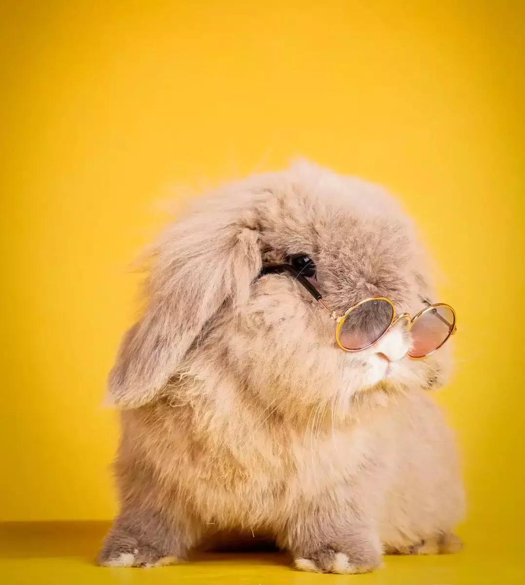 「故事」“不务正业”的90后：我凭打游戏直播挣钱，妈妈逢人就夸