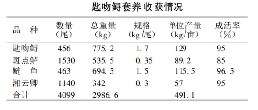 鸭嘴鱼是不是跟花鲢一样好养,水产养殖鸭嘴鱼技术视频