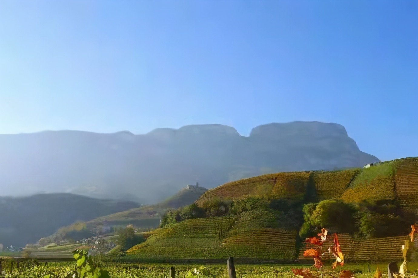 在百年党史中砥砺前行,世界五大葡萄酒产区