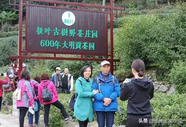 恩施土家人文地理：行游恩施，忠路雾洞春茶香