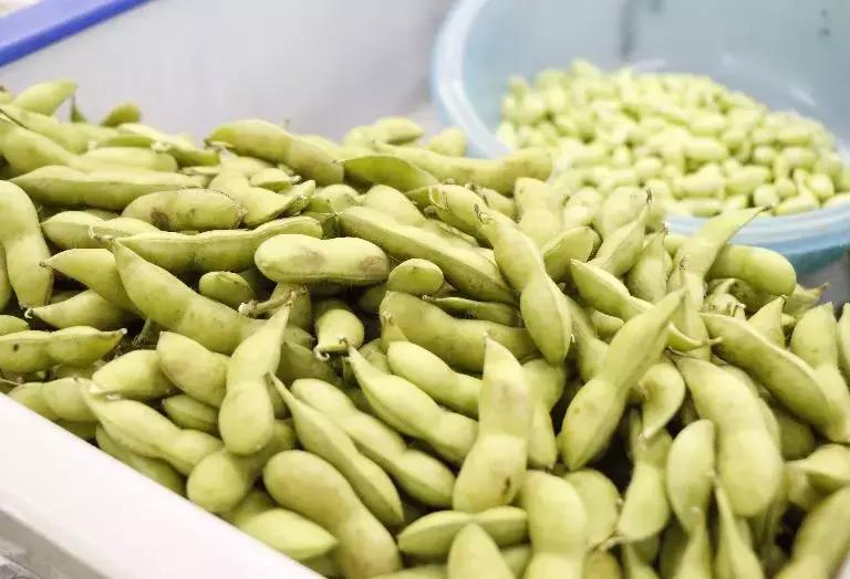 合肥菜价查询最新蔬菜价格表,今日菜价安徽合肥