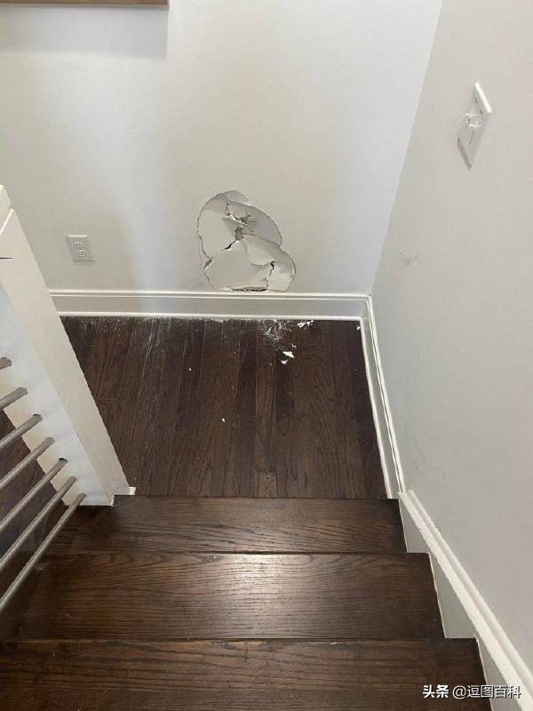 搞笑段子：骑上我心爱的小乌龟