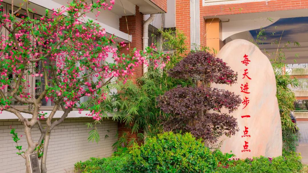 南京比较好的小学学校排名,南京名校小学最新排名