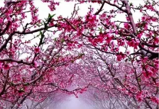 善良是一个人最大的实力,善良是一个人的教养