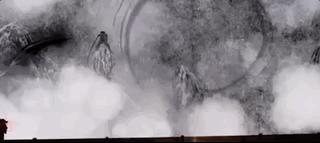 世界十大神奇动物,十大神奇动物园