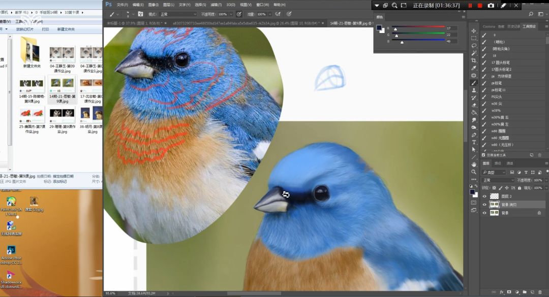 ps手绘100个小妙招,ps手绘零基础教程