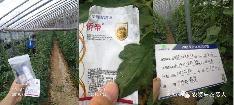 侨昌现代农业有限公司,侨昌现代农业